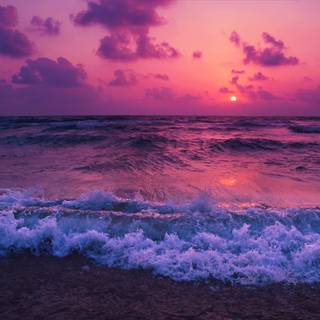 Summer purple aesthetic wallpaper
