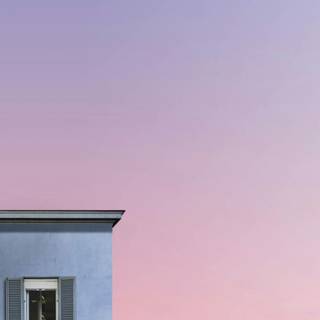 Light pink summer wallpaper