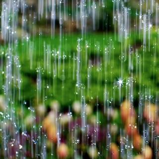 Rain summer day wallpaper