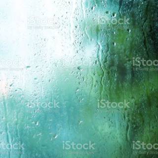 Rain summer day wallpaper