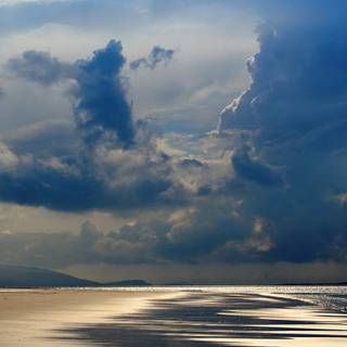 Rain summer day wallpaper