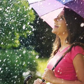 Rain summer day wallpaper