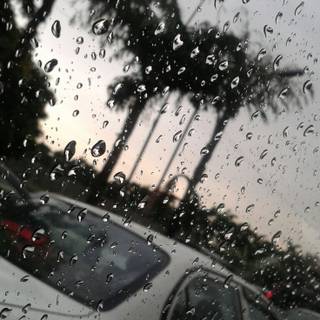 Rain summer day wallpaper