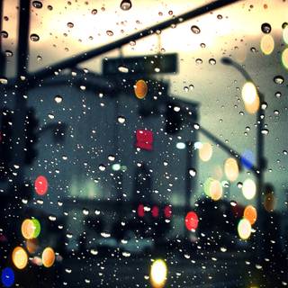 Rain summer day wallpaper