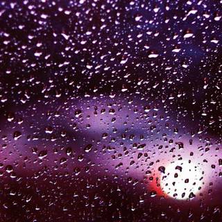 Rain summer day wallpaper