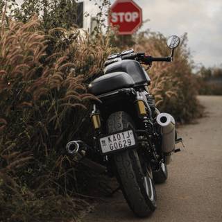 Continental GT 650 2023 wallpaper