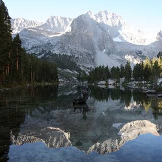 Sequoia National Park 4k wallpaper