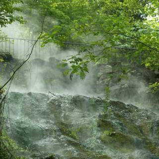 National parks spring wallpaper