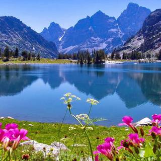 National parks spring wallpaper