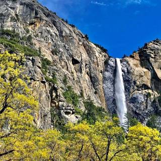 National parks spring wallpaper