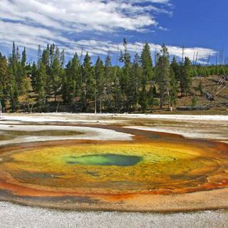 National parks spring wallpaper