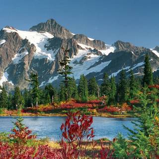 National parks spring wallpaper