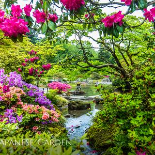 Japanese spring gardens wallpaper