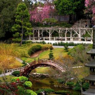 Japanese spring gardens wallpaper