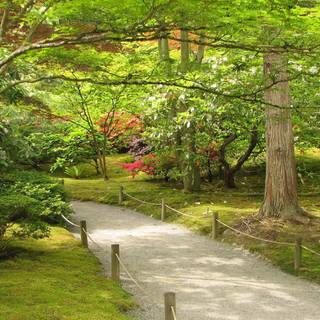 Japanese spring gardens wallpaper