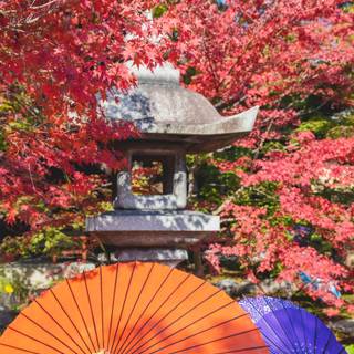 Japanese spring gardens wallpaper
