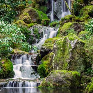 Japanese spring gardens wallpaper
