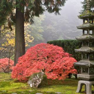 Japanese spring gardens wallpaper