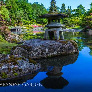 Japanese spring gardens wallpaper