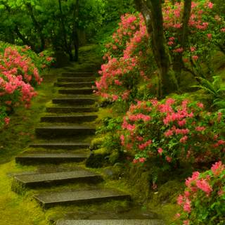 Japanese spring gardens wallpaper