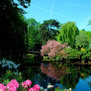 Japanese spring gardens wallpaper