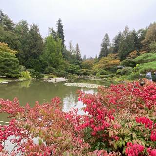 Japanese spring gardens wallpaper
