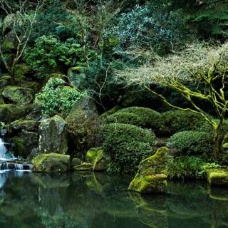 Japanese spring gardens wallpaper