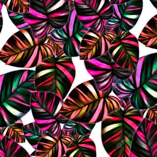 Abstract spring color wallpaper