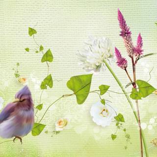 Abstract spring color wallpaper