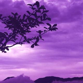 Aesthetic purple fantasy wallpaper