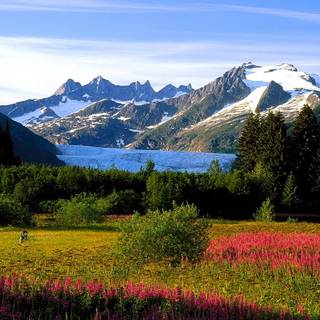 Alaskan mountains wallpaper