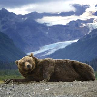 Alaskan mountains wallpaper