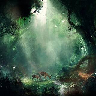 Fantasy jungle tree wallpaper