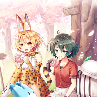 Kemono Friends Sand Cat wallpaper