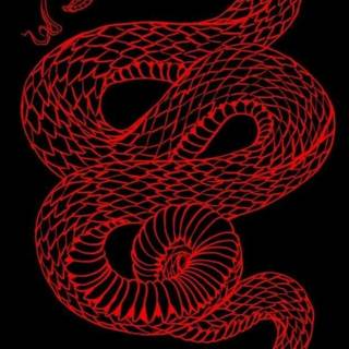 Red neon dragon wallpaper