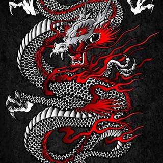 Red neon dragon wallpaper