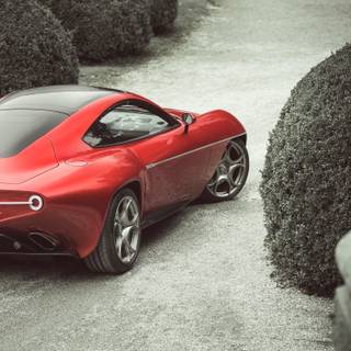 Alfa Romeo Disco Volante wallpaper