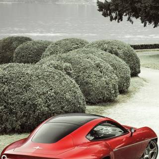 Alfa Romeo Disco Volante wallpaper
