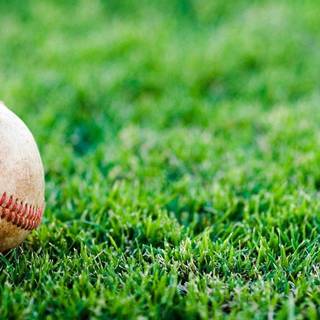 Softball and basketball wallpaper