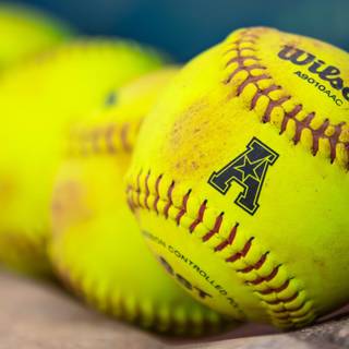 Softball and basketball wallpaper