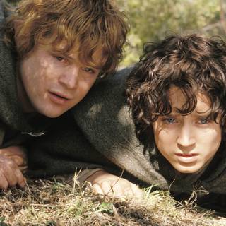 Frodo and Sam wallpaper
