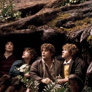 Frodo and Sam wallpaper