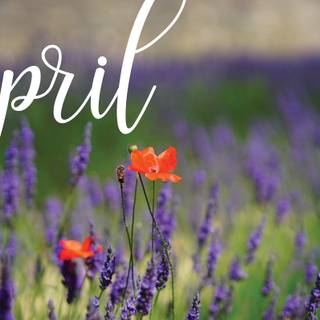 April month wallpaper