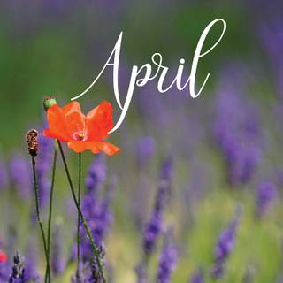 April things wallpaper