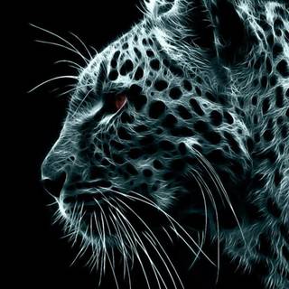 Leopard 4k wallpaper