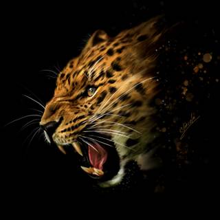 Leopard 4k wallpaper