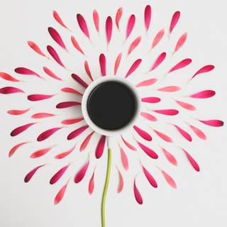 Creative PC wallpaper