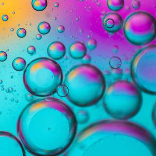 Rainbow bubbles wallpaper