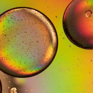Rainbow bubbles wallpaper