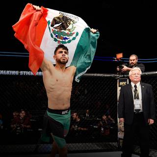 Yair Rodríguez wallpaper